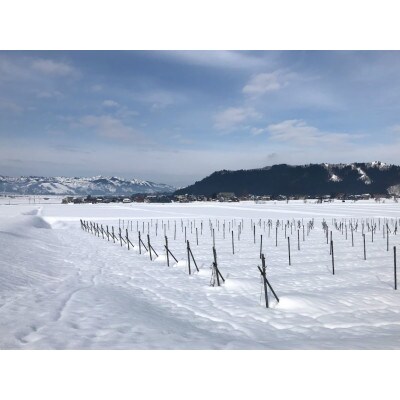 【時を重ねて】南魚沼産熟成カベルネ2020 澄み切った「えんじ色」紅茶香る端麗な赤ワイン 750ml