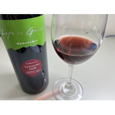 【熟成を飲み比べ】南魚沼産カベルネ2020・2021 端麗なえんじ色と反射光で育った深みの赤 2本