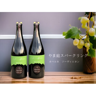 カベルネ・ソービニヨンのスパークリングワイン　750ml　2本セット