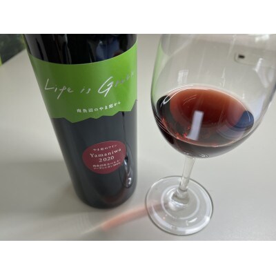 【同じ畑の垂直兄弟】南魚沼産カベルネ2020(赤)&2023(泡) 熟成と最新を飲み比べる 2本