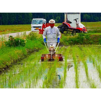 南魚沼産(しおざわ)こしひかり　栽培期間中農薬を使用せず育てた米　精米5kg