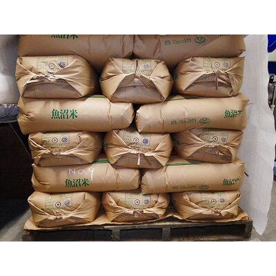 南魚沼産コシヒカリ　10Kg(5Kg×2個)　玄米
