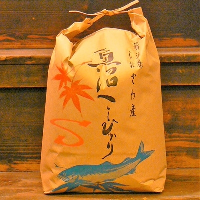 令和6年産 《語り伝えられる地》南魚沼しおざわ産コシヒカリ5Kg(白米)