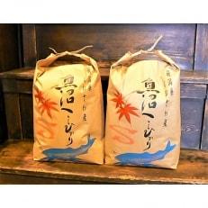 令和4年産 《語り伝えられる地》南魚沼しおざわ産コシヒカリ10Kg(玄米)