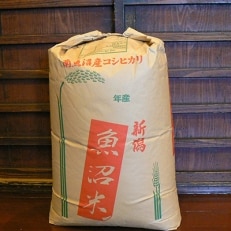 令和4年産《語り伝えられる地》南魚沼しおざわ産コシヒカリ30kg(玄米)