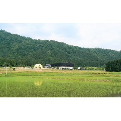 < 八海山杜氏渾身の酒 >　浩和蔵仕込み　大吟醸 & 雪室八年純米大吟醸 720ml×2本セット