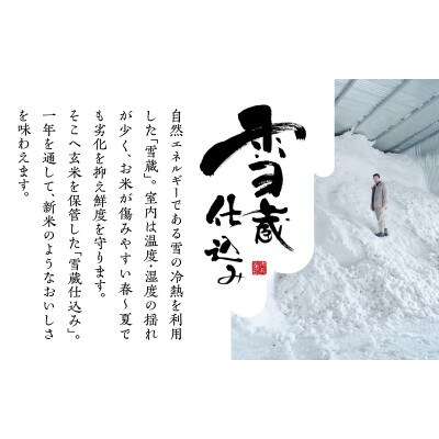 【2023年3月中旬発送】【雪蔵貯蔵米】南魚沼産こしひかり　5kg