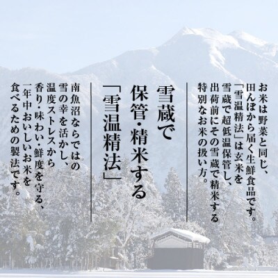 【雪蔵貯蔵米】南魚沼産こしひかり　5kg×2袋