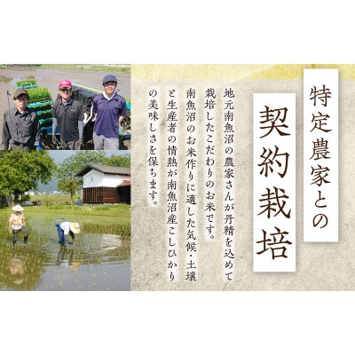 【11月発送】南魚沼産こしひかり　無洗米　5kg