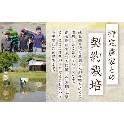【12月発送】雪蔵貯蔵米　南魚沼産こしひかり5kg