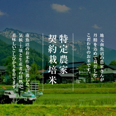 【令和5年産　10月より発送】雪温精法　南魚沼産こしひかり　精米　5kg