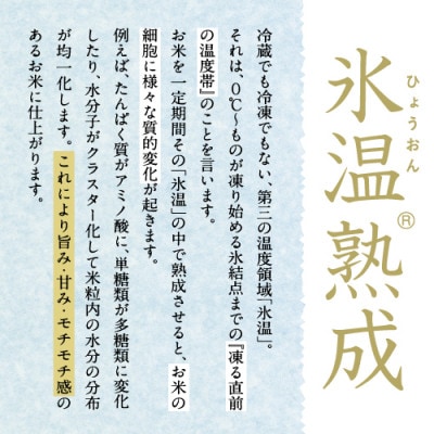氷温熟成南魚沼産こしひかり　パックご飯180g×48個