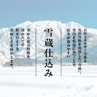 南魚沼産コシヒカリ　精米　無洗米5kg