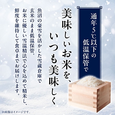 【令和7年産 10月発送】雪温精法　南魚沼産こしひかり　精米　2kg