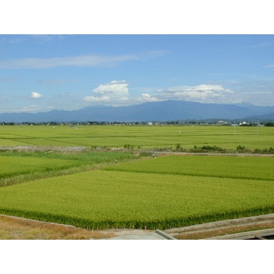 【令和7年産 10月発送】雪温精法　南魚沼産こしひかり　精米　5kg
