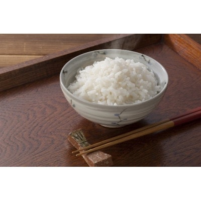 【令和7年産 10月発送】雪温精法　南魚沼産こしひかり　精米　5kg