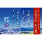 【令和7年産 新米予約】 南魚沼産 新之助　2kg