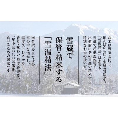 【令和7年産 新米予約】 南魚沼産 新之助　2kg