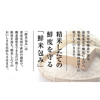 【令和7年産 新米予約】 南魚沼産 新之助　2kg