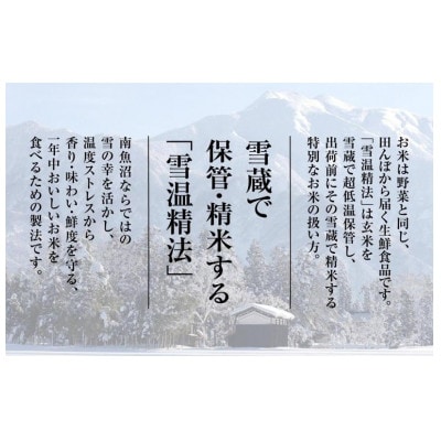 【令和7年産 新米予約】 南魚沼産 新之助　6kg