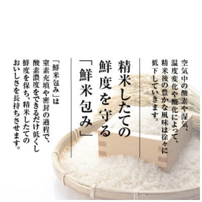 【2026年10月発送　先行受付】南魚沼産こしひかり3kg　契約栽培　雪蔵貯蔵米