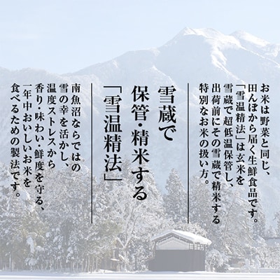 【毎月定期便】雪温精法　南魚沼産新之助2kg　全3回