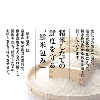 【毎月定期便】雪温精法　南魚沼産新之助2kg　全6回