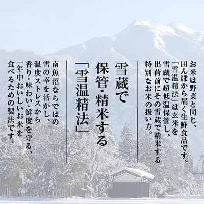 【毎月定期便】雪温精法　南魚沼産新之助2kg　全12回
