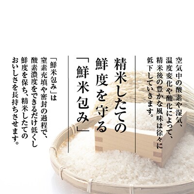 【毎月定期便】雪温精法　南魚沼産新之助6kg　全12回