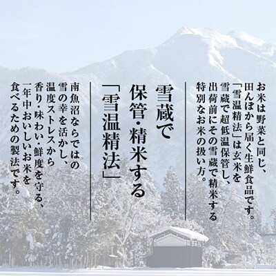 【毎月定期便】雪温精法　南魚沼産新之助6kg　全12回