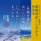 【毎月定期便】南魚沼産コシヒカリ無洗米 5kg 全12回