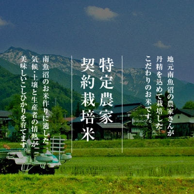 【毎月定期便】雪温精法　南魚沼産こしひかり　2kg全12回