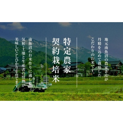 【毎月定期便】雪温精法　南魚沼産新之助 精米 6kg　全3回