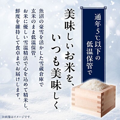 【毎月定期便】南魚沼産こしひかり　無洗米　2kg全12回
