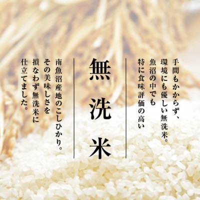 【毎月定期便】南魚沼産こしひかり　無洗米　5kg全6回