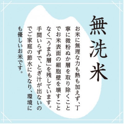 【毎月定期便】南魚沼産こしひかり　無洗米　2kg全3回