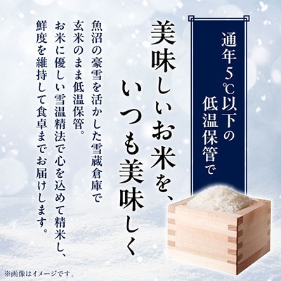 【毎月定期便】雪温精法　南魚沼産こしひかり　5kg全3回