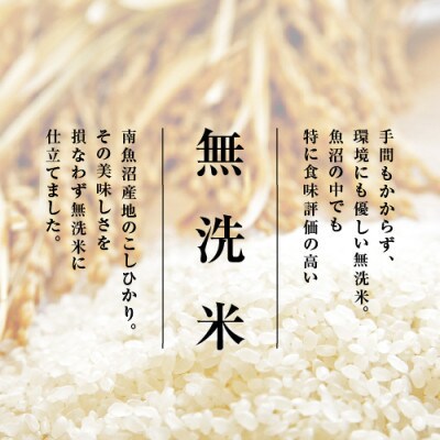 【発送月固定定期便】【2026年10月下旬発送】南魚沼産こしひかり5kg　無洗米 全6回