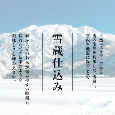 【発送月固定定期便】【2026年10月下旬発送】南魚沼産こしひかり2kg　無洗米全3回