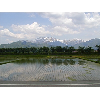 2020年4月発送開始『定期便』雪蔵貯蔵米　南魚沼産こしひかり　5kg　全6回