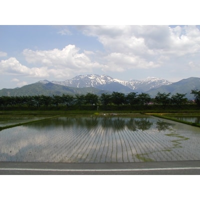 2021年6月発送開始『定期便』雪蔵貯蔵米　南魚沼産こしひかり2kg　全6回