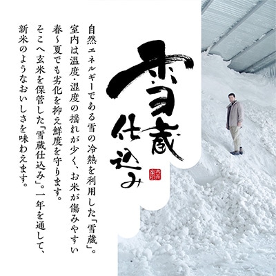 2024年2月発送開始『定期便』雪蔵貯蔵米　南魚沼産こしひかり無洗米　5kg全6回