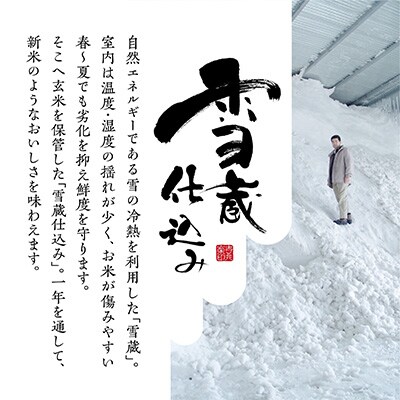 2024年2月発送開始『定期便』雪蔵貯蔵米 南魚沼産こしひかり10kg 全12回