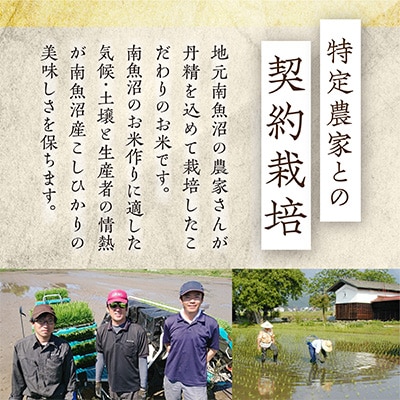 2024年2月発送開始『定期便』雪蔵貯蔵米 南魚沼産こしひかり10kg 全12回