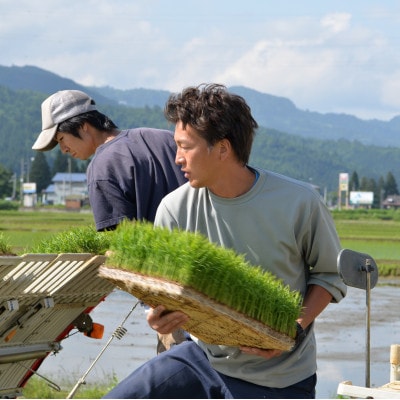 6年連続金賞　南魚沼産コシヒカリ15kg(5kg×3個)栽培期間中農薬化学肥料不使用