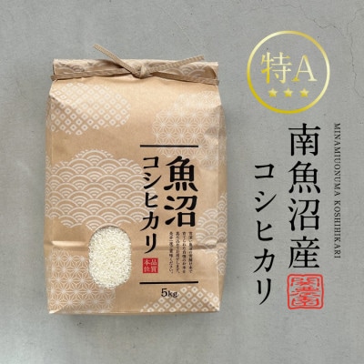 生産農家直送!南魚沼産コシヒカリ 10kg