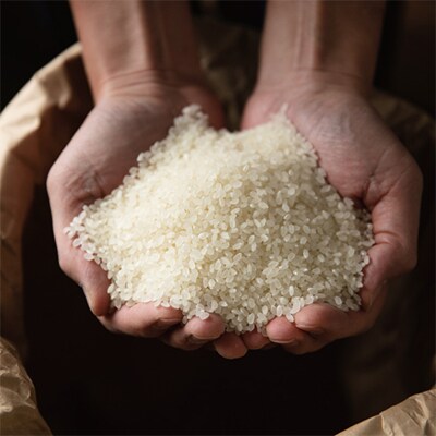 【毎月定期便】6年連続金賞　南魚沼産コシヒカリ10kg　栽培期間中農薬化学肥料不使用全12回