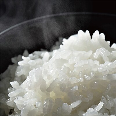 【毎月定期便】6年連続金賞　南魚沼産コシヒカリ10kg　栽培期間中農薬化学肥料不使用全12回