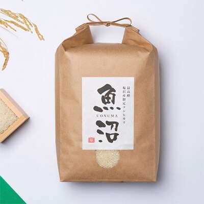 2020年4月発送開始『定期便』南魚沼産コシヒカリ 無洗米 10kg 旧塩沢地区限定 全6回