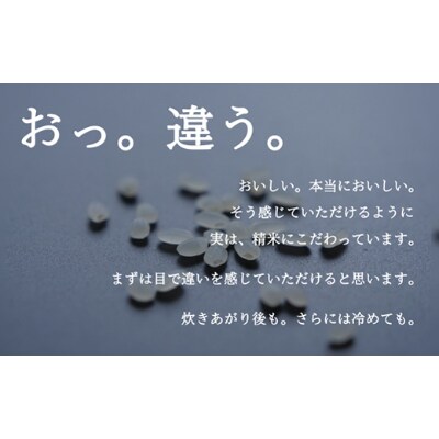 【2024年2月中旬発送】南魚沼『塩沢産コシヒカリ』　精米　5kg×1袋